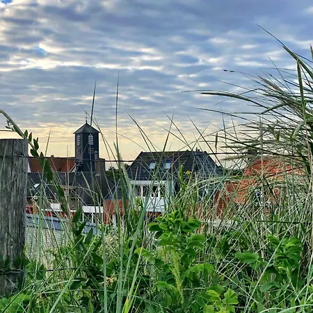 De Zwaan Op Chalet Oudesluis (North Holland)