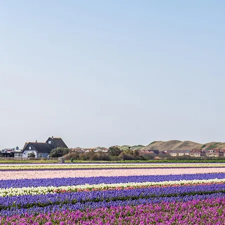 De Zwaan Op Alpesi faház